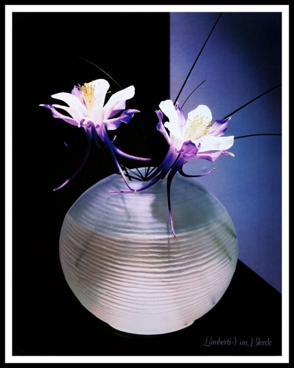 IMG11517 Silk Still Life